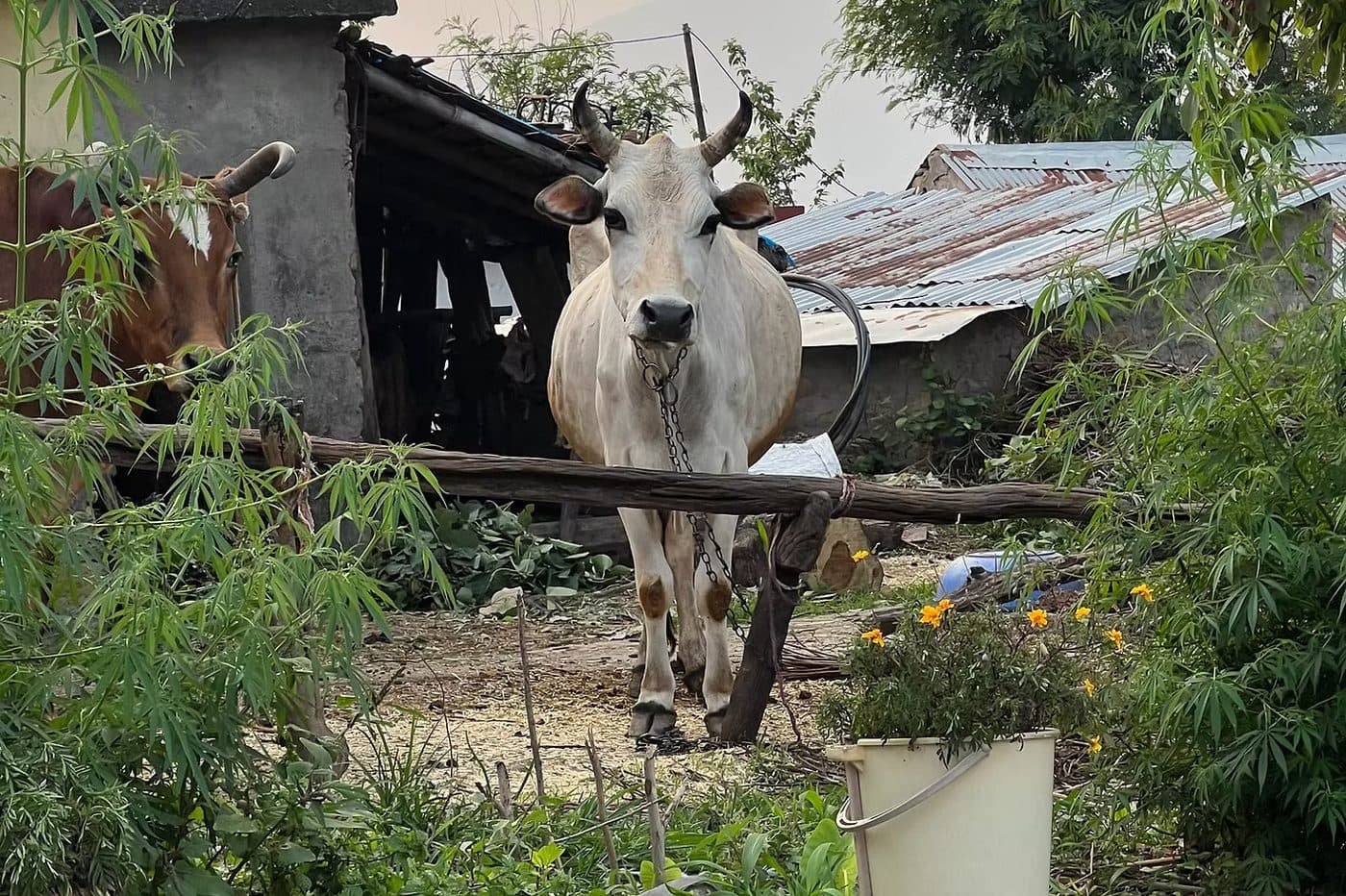 Project RISHI members in the field